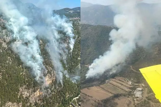 Türkiyənin iki bölgəsində meşə yanır