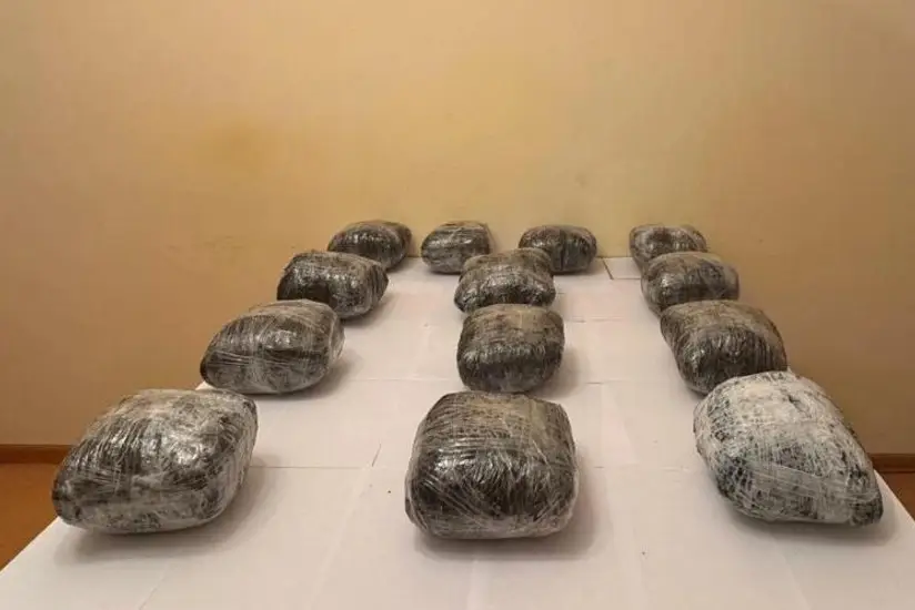 Azərbaycana 14 kq-dan çox narkotik vasitənin keçirilməsinin qarşısı alınıb