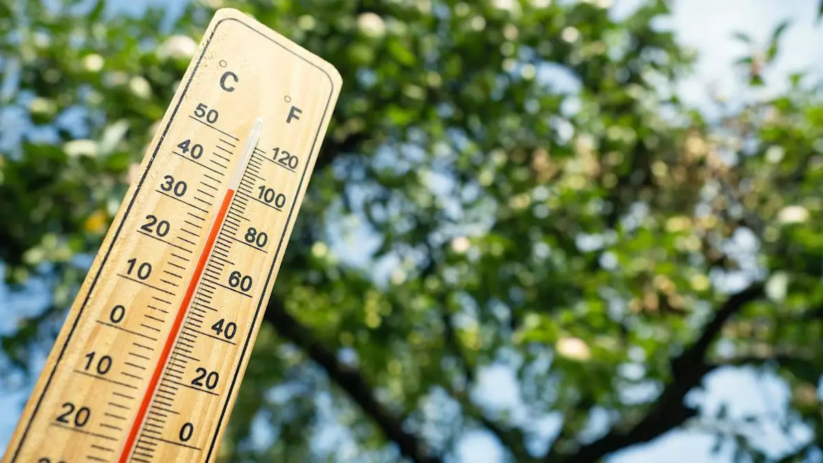 Aprelin son günü havanın temperaturu 21 dərəcəyədək artacaq