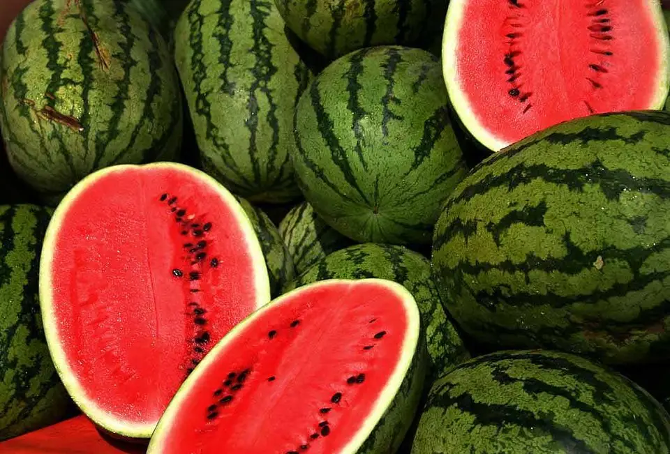 İran Azərbaycana qarpızın kilosunu 1,10 manata satıb
