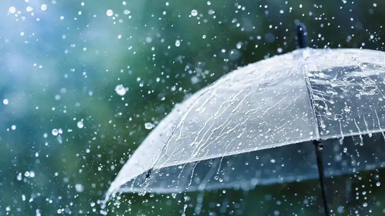 Yağıntılı və küləkli hava bu gün axşamadək davam edəcək