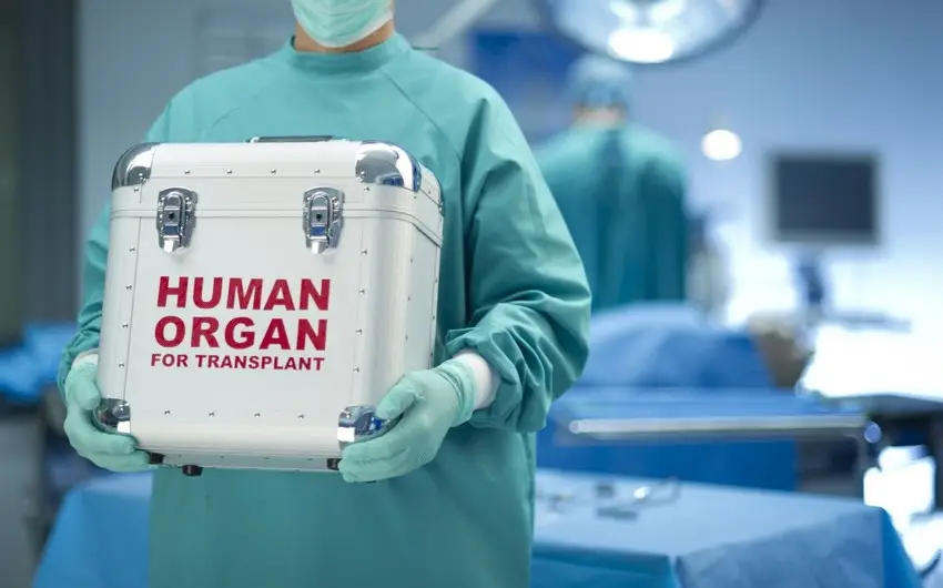 Bu il icbari tibbi sığorta təminatı ilə 80 orqan transplantasiyası əməliyyatı icra olunub