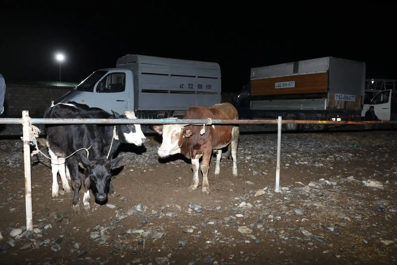 Biləsuvarda yerləşən heyvan bazarında nöqsanlar aşkarlanıb - FOTO