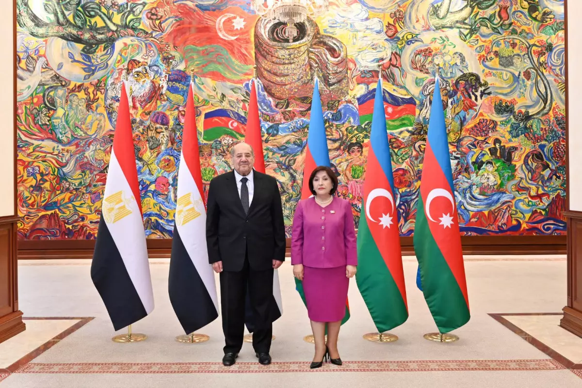 Milli Məclis və Misir Senatının sədrlərinin görüşü olub