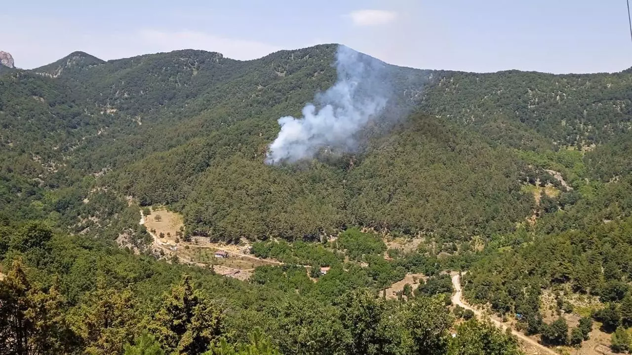 Hatayda meşə yanğını başlayıb