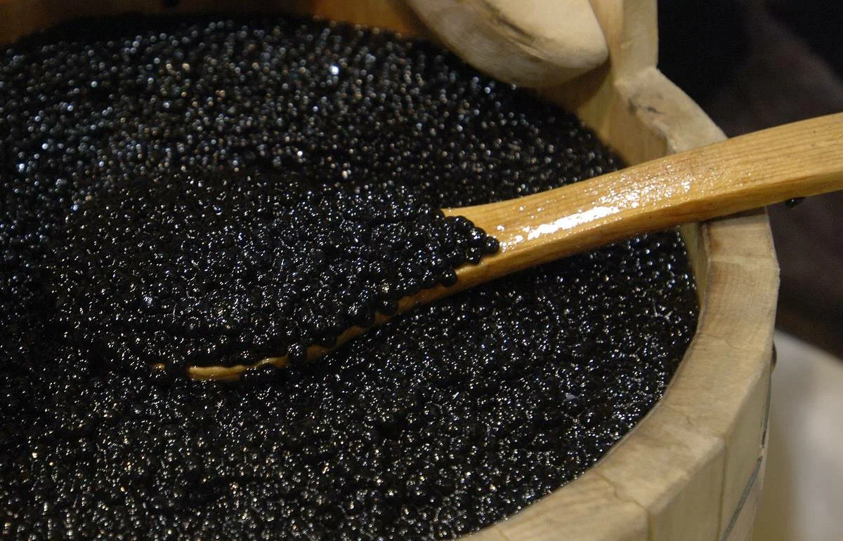 Azərbaycanda qara kürü istehsalı artıb