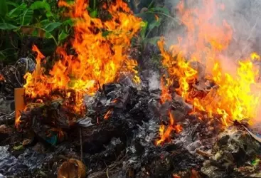 Tullantıların yandırılmasına görə bir neçə obyekt cərimələnib