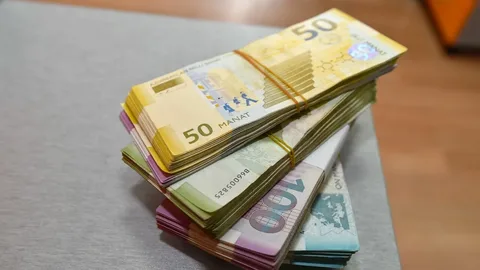 Azərbaycanda ödənişli xidmətlərdən daxilolmalar proqnozdan 21,4 % az icra edilib
