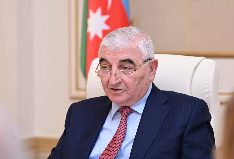 Məzahir Pənahov seçki dairələri ilə bağlı tapşırıq verdi