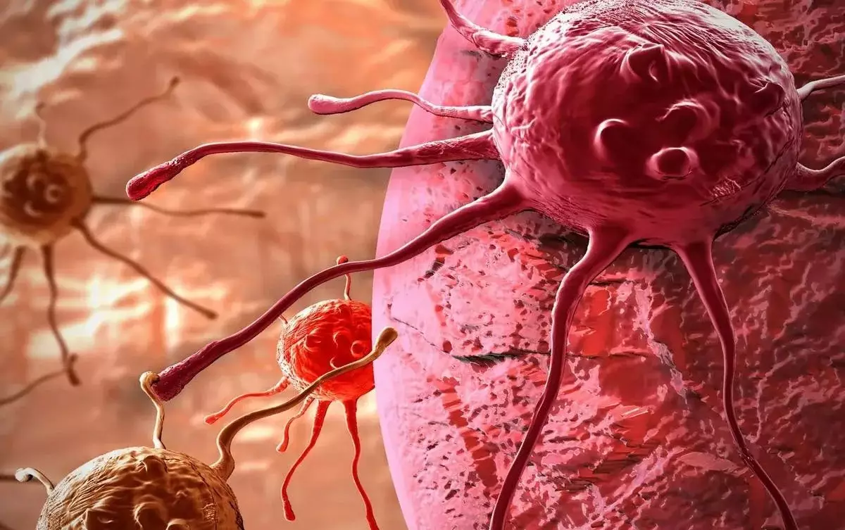 Bu vitaminlər xərçəng riskini artıra bilər