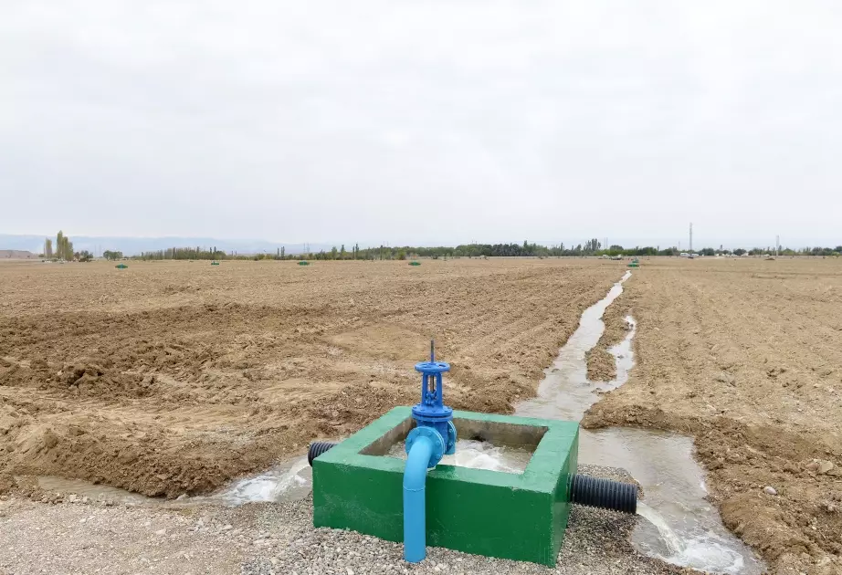 ADSEA bir kənddə meliorativ tədbirlərin icrasına 10 mln. manat xərcləməyi planlaşdırır