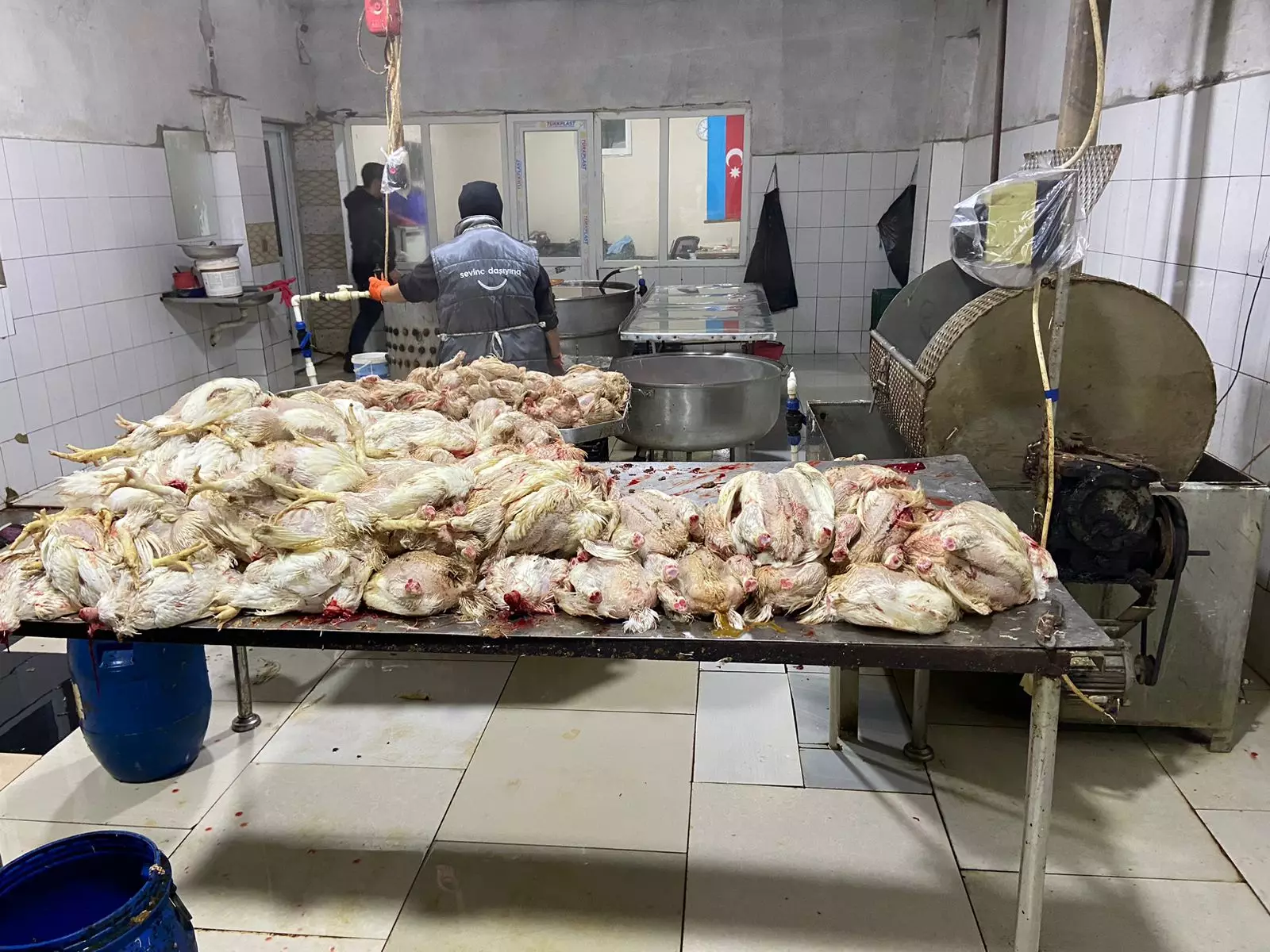 Bakıda ev quşlarının kəsimi məntəqəsinin fəaliyyəti məhdudlaşdırılıb - FOTO