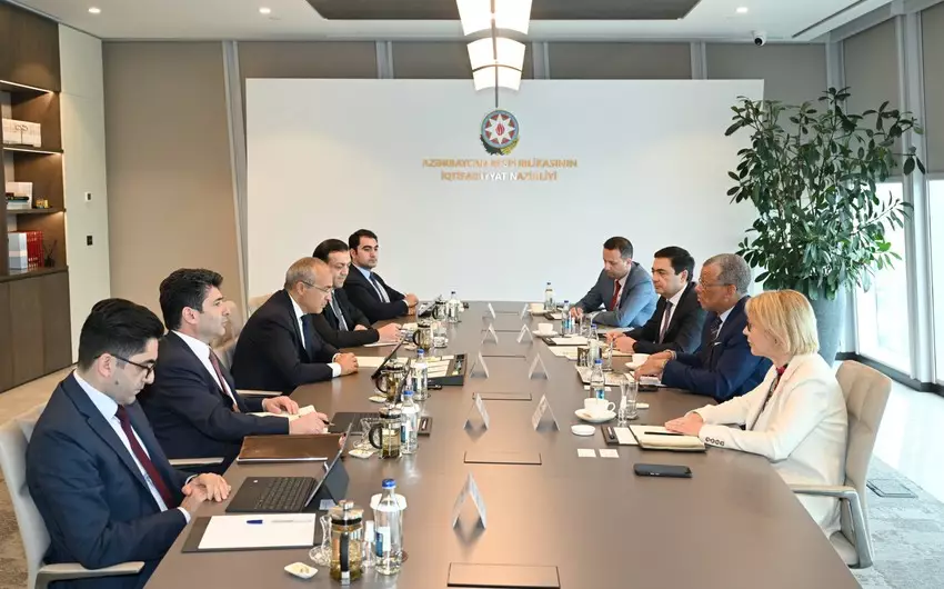 Azərbaycan beynəlxalq konsaltinq şirkəti ilə əməkdaşlığı müzakirə edib