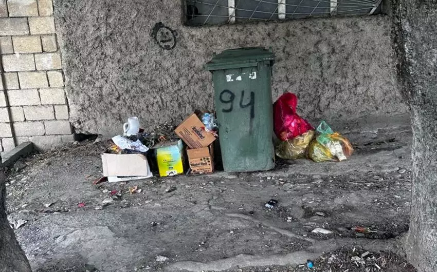 Şamaxıda ətraf mühiti çirkləndirənlər cərimələnib