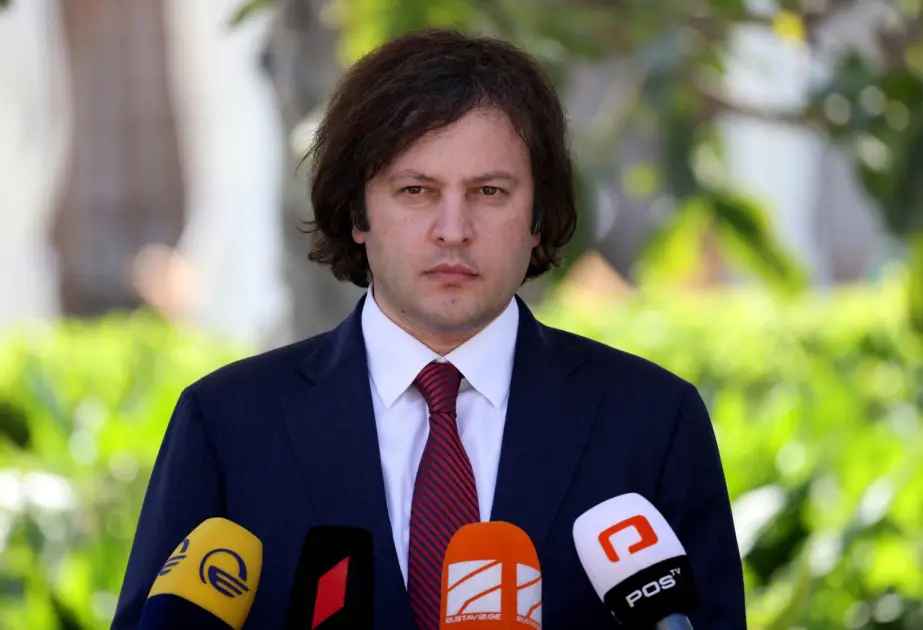 Kobaxidze: "Biz bütün cəbhələrdə hazırlaşırıq!"