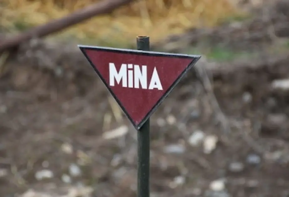 Minatəmizləmə fəaliyyətinə dair tələblər müəyyənləşib