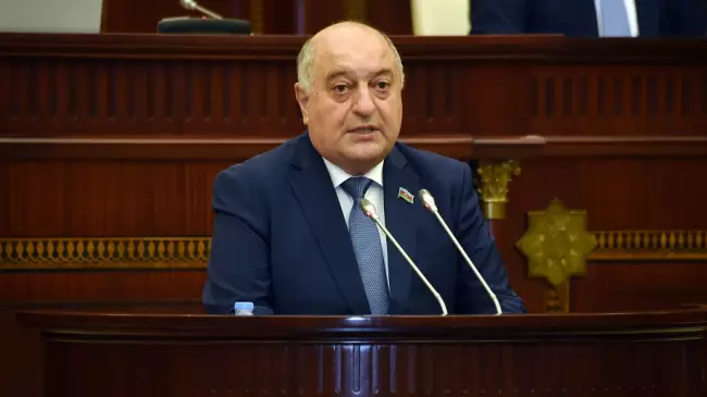 Çoxuşaqlı ailə anlayışında sayı azaltmaq barədə düşünmək olar -Deputat