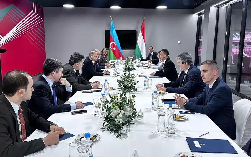 Azərbaycan və Macarıstan enerji əməkdaşlığının inkişafını müzakirə edib