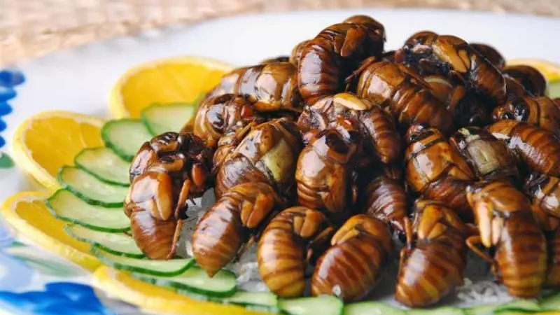 Bu ölkə Azərbaycana ədədi 170 manatdan həşərat satıb