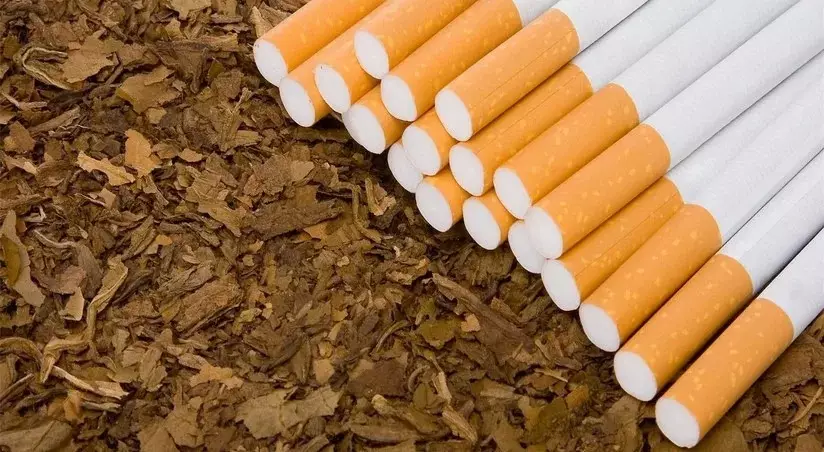 Ötən il tütün sənayesindən dövlət büdcəsinə mənfəət vergisi ödənilməyib
