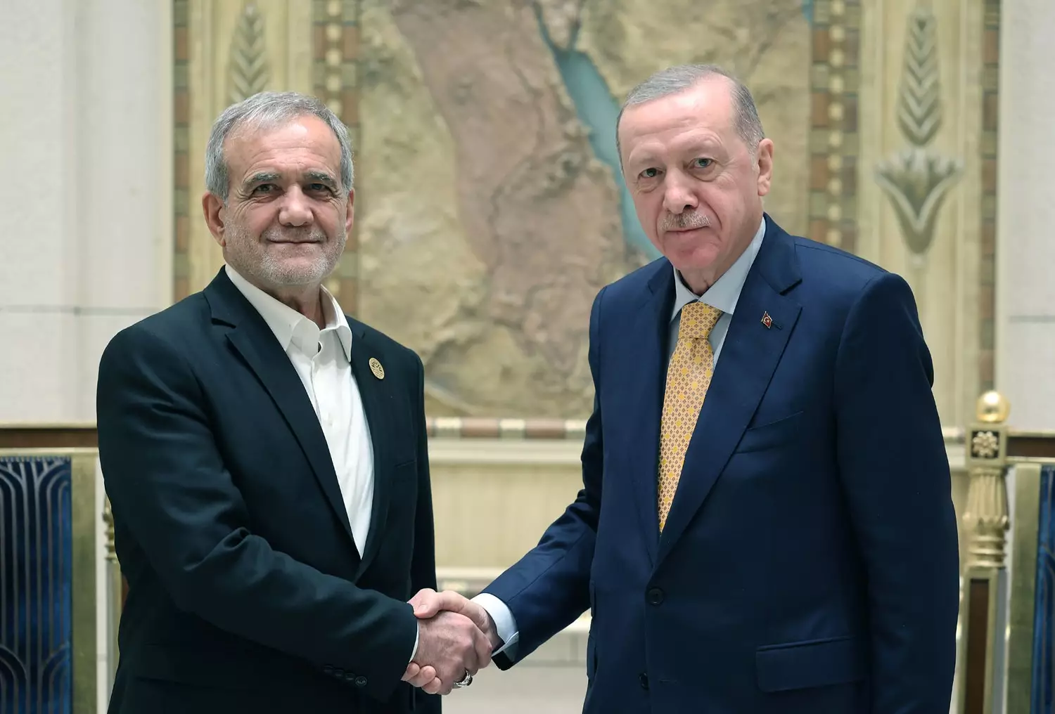 Ərdoğan D-8 Sammiti çərçivəsində Pezeşkianla görüşüb - FOTO