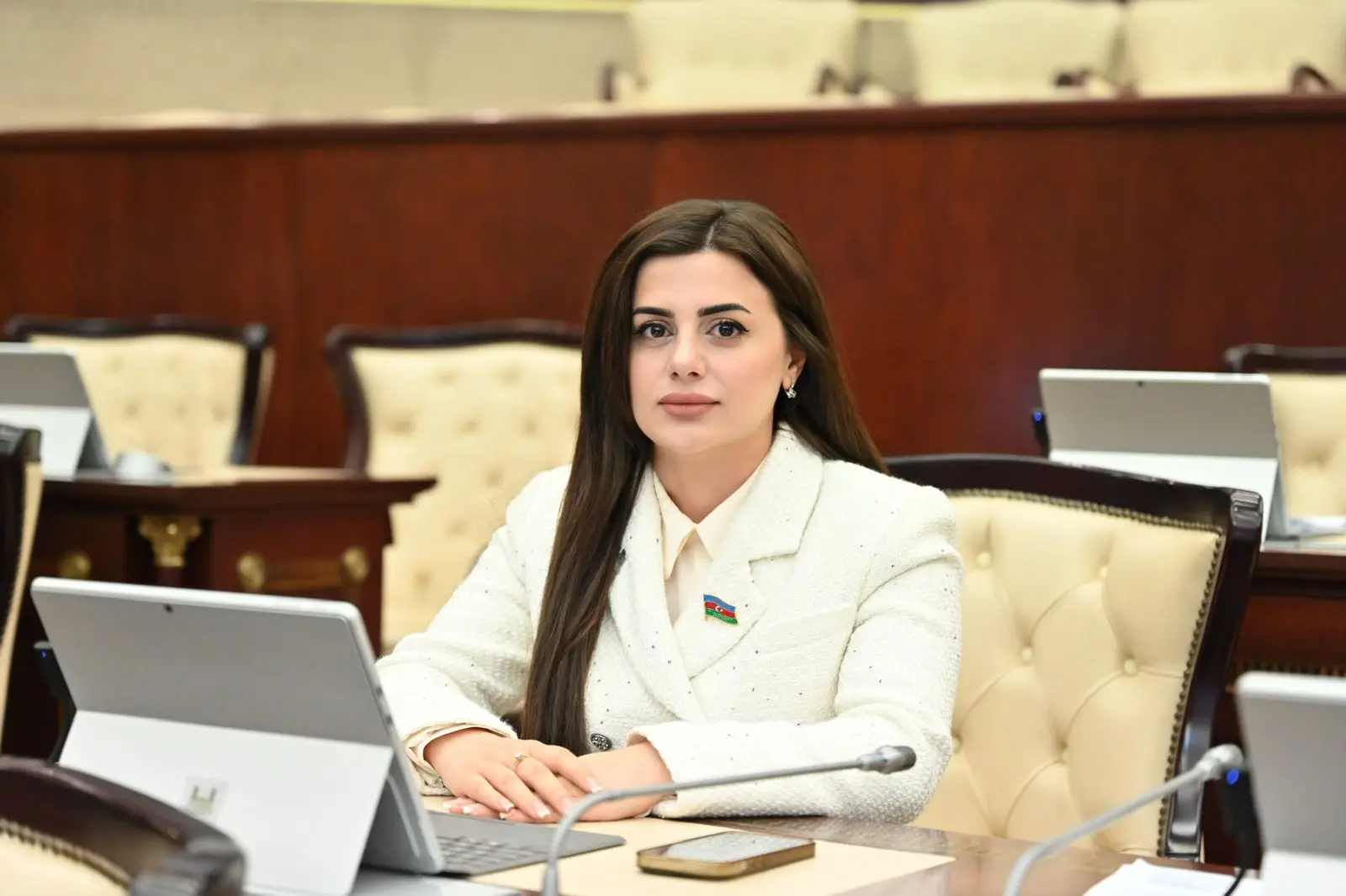 Deputat: “Azərbaycan diversifikasiya olunmuş enerji potensialına sahibdir”