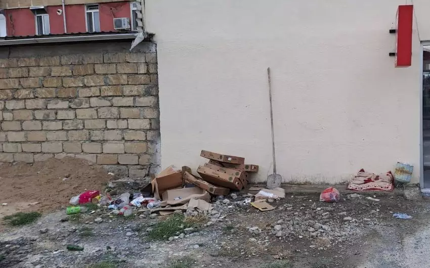 Ətraf mühiti çirkləndirən şəxslər barədə inzibati tənbeh tədbiri görülüb