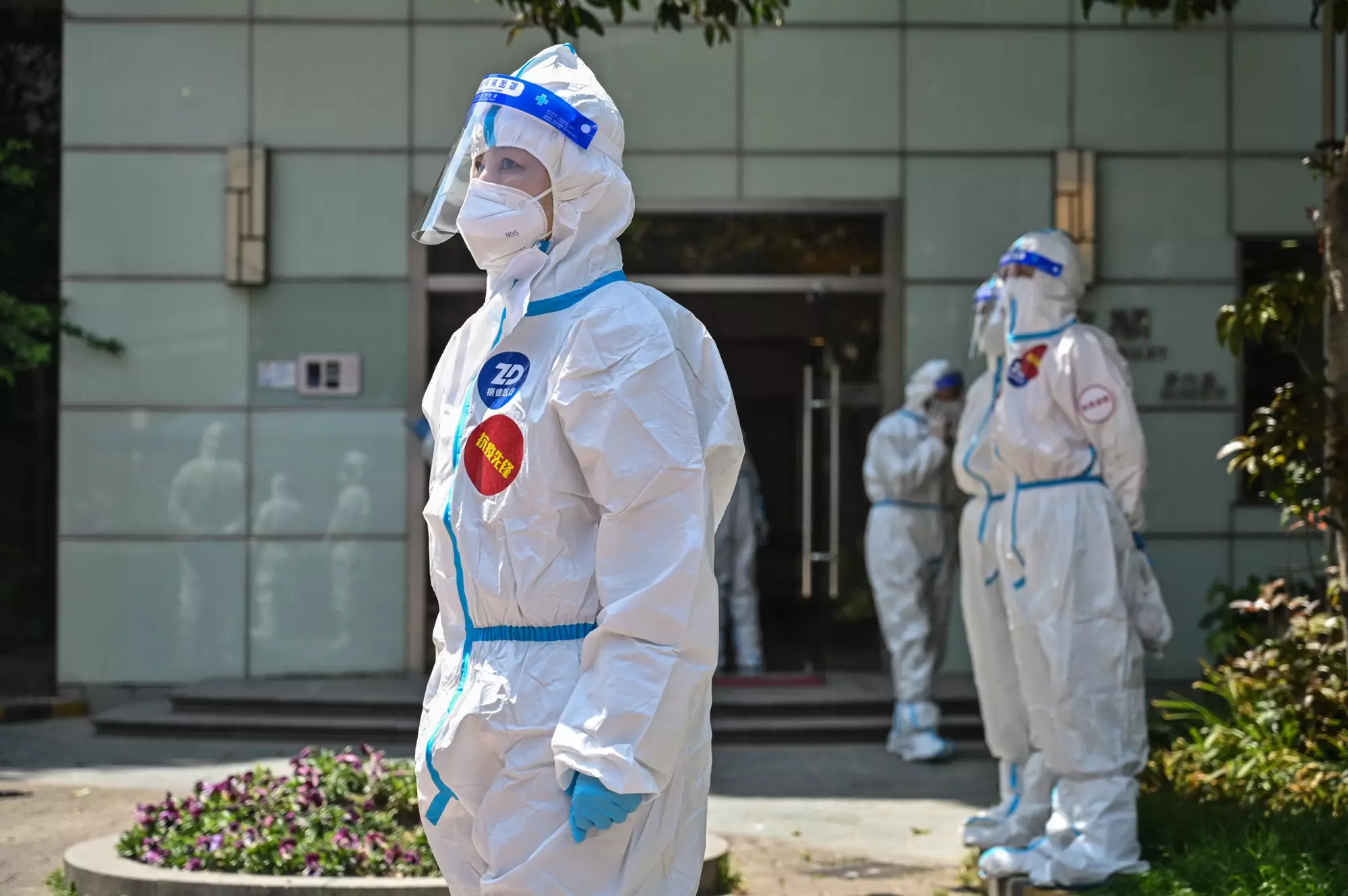 Çində yarasalarda insanlara keçə biləcək yeni koronavirus aşkarlandı