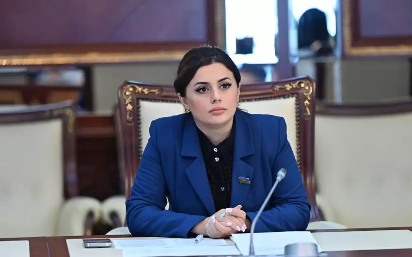 Deputat: “Azərbaycan etibarlı enerji tərəfdaşı kimi özünü qlobal dünyada sübut edib”