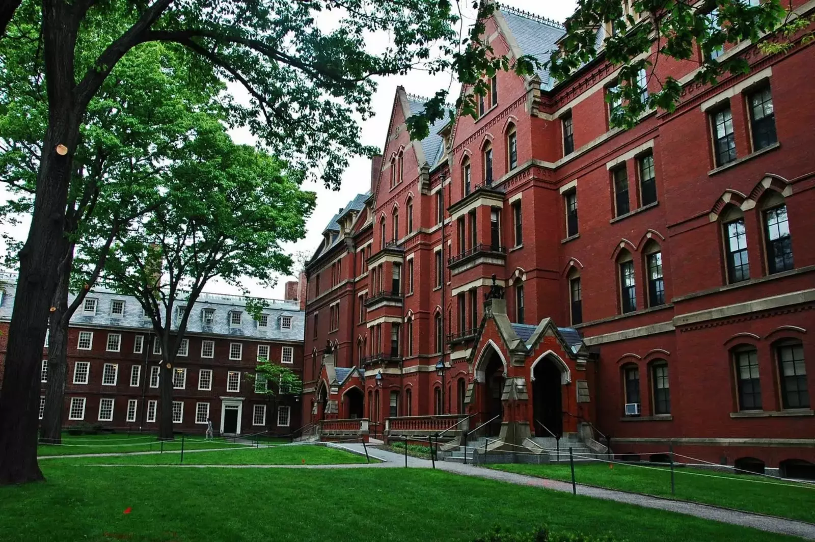 ABŞ Harvard üçün 350 qrantı dondurdu