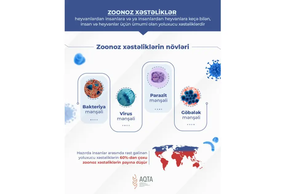 Zoonoz xəstəliklərlə effektiv mübarizə necə aparılmalı?