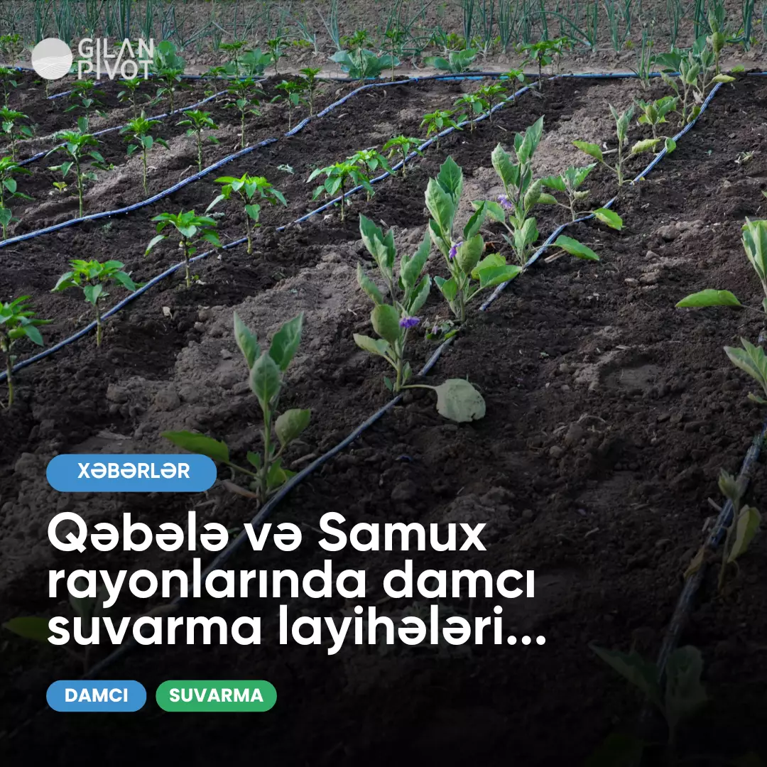 Gilan Pivot damcı suvarma layihələrinə start verdi