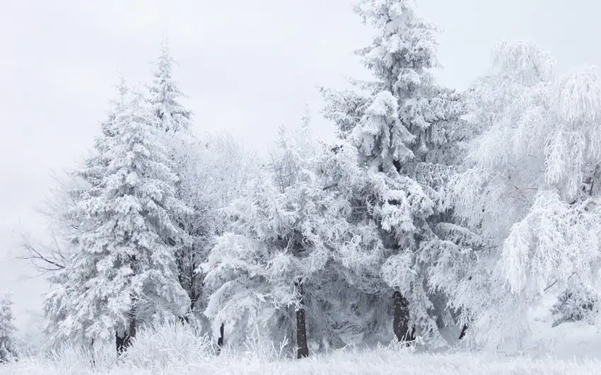 Qrıza 20 sm qar yağıb, Bakıda temperatur normadan aşağı olub - FAKTİKİ HAVA