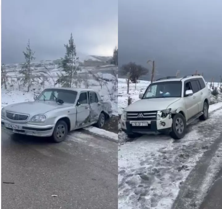 DYP: Havanın dəyişməsi fəsadlara yol açıb - VİDEO