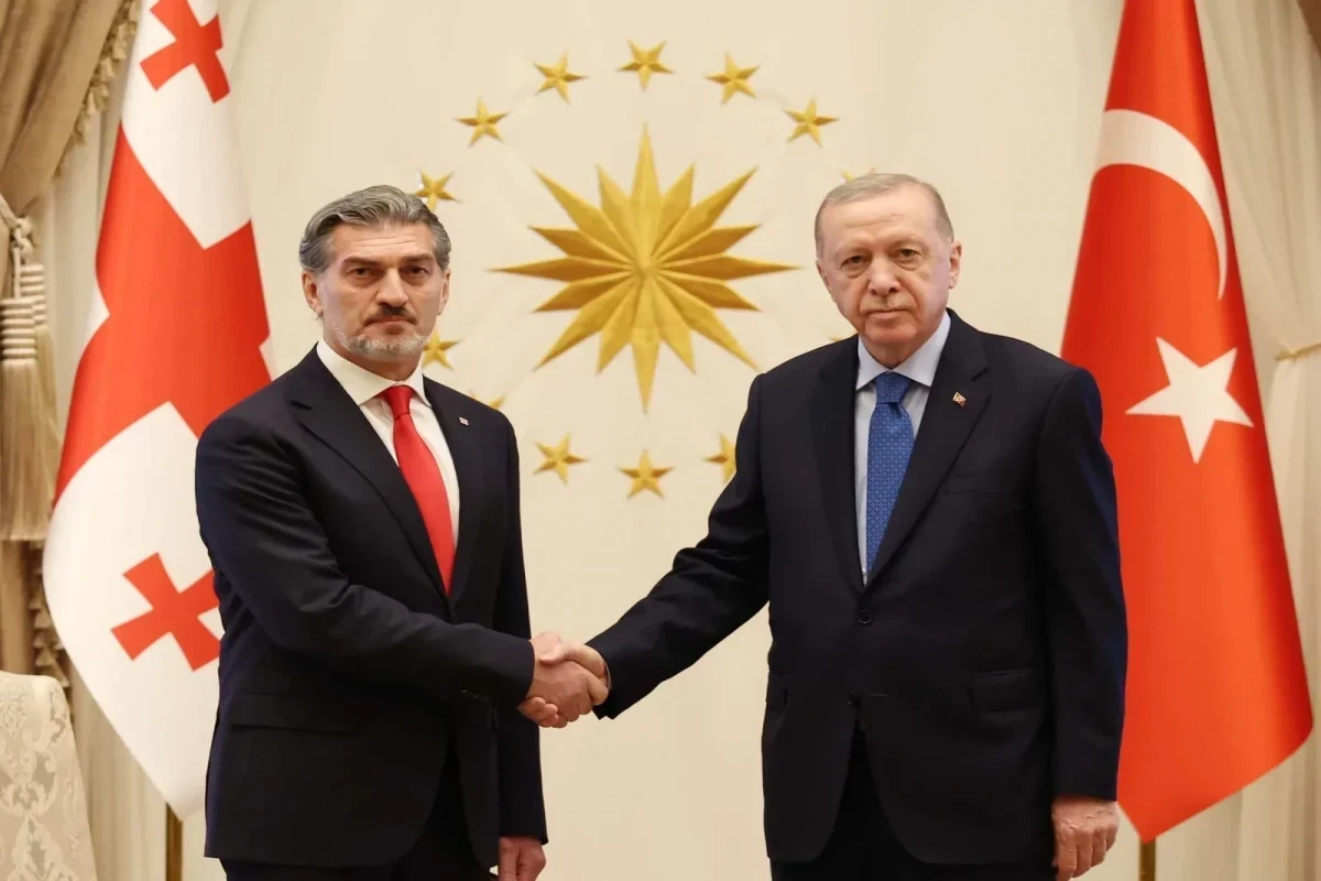 Türkiyə və Gürcüstan prezidentləri təyyarə qəzası ilə bağlı son durumu müzakirə ediblər