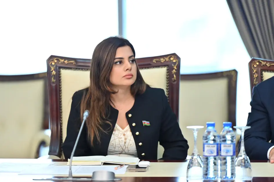 “20 Sentyabr Azərbaycanın ərazi bütövlüyünün bərpası istiqamətində əhəmiyyətli bir dönüş nöqtəsidir” - RƏY