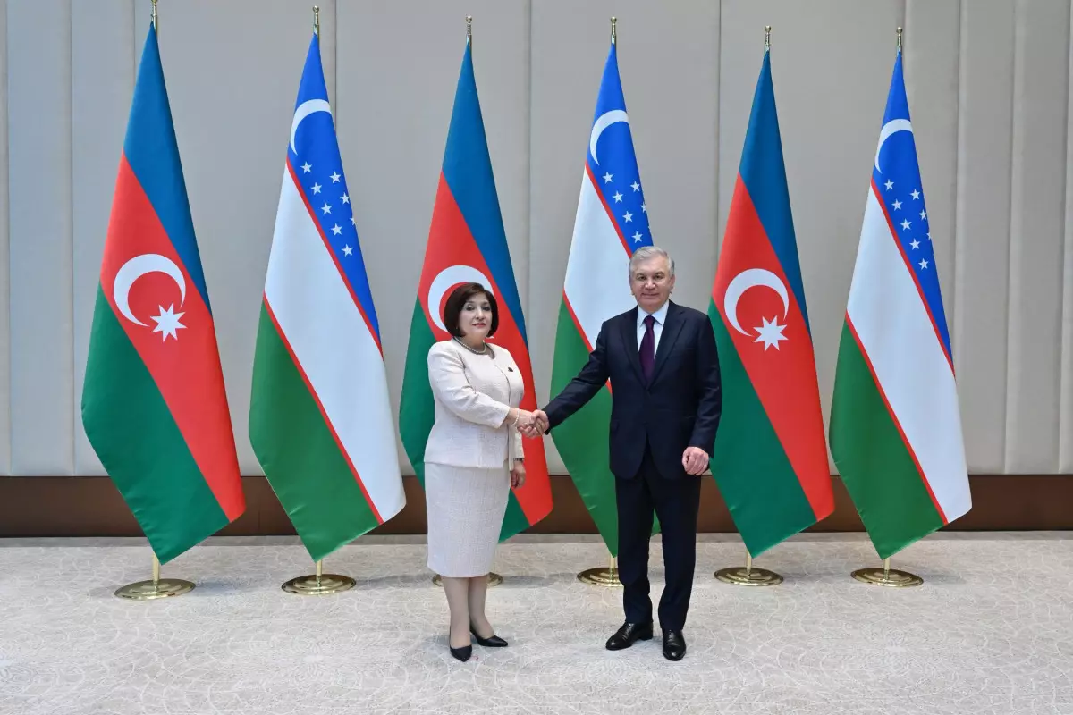 Sahibə Qafarova Özbəkistan Prezidenti Şavkat Mirziyoyevlə görüşüb