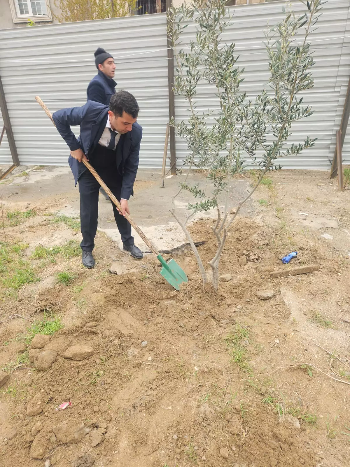 "Sumqayıt" MTK ağacları kökündən çıxardı, nazirlik bərpa etdi - FOTO