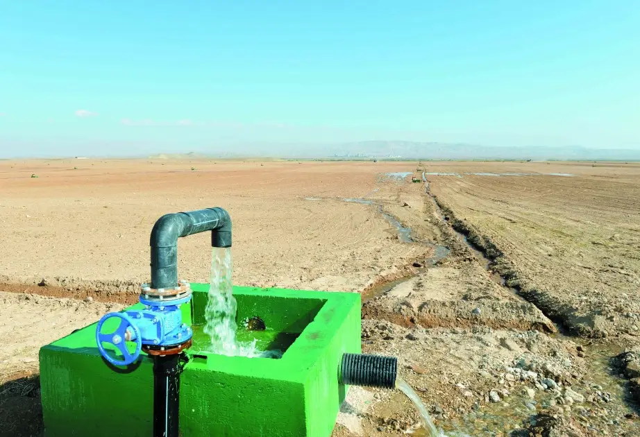 Zərdabda əkin sahələrinin su təminatının yaxşılaşdırılması 10,5 mln. manata başa gələcək