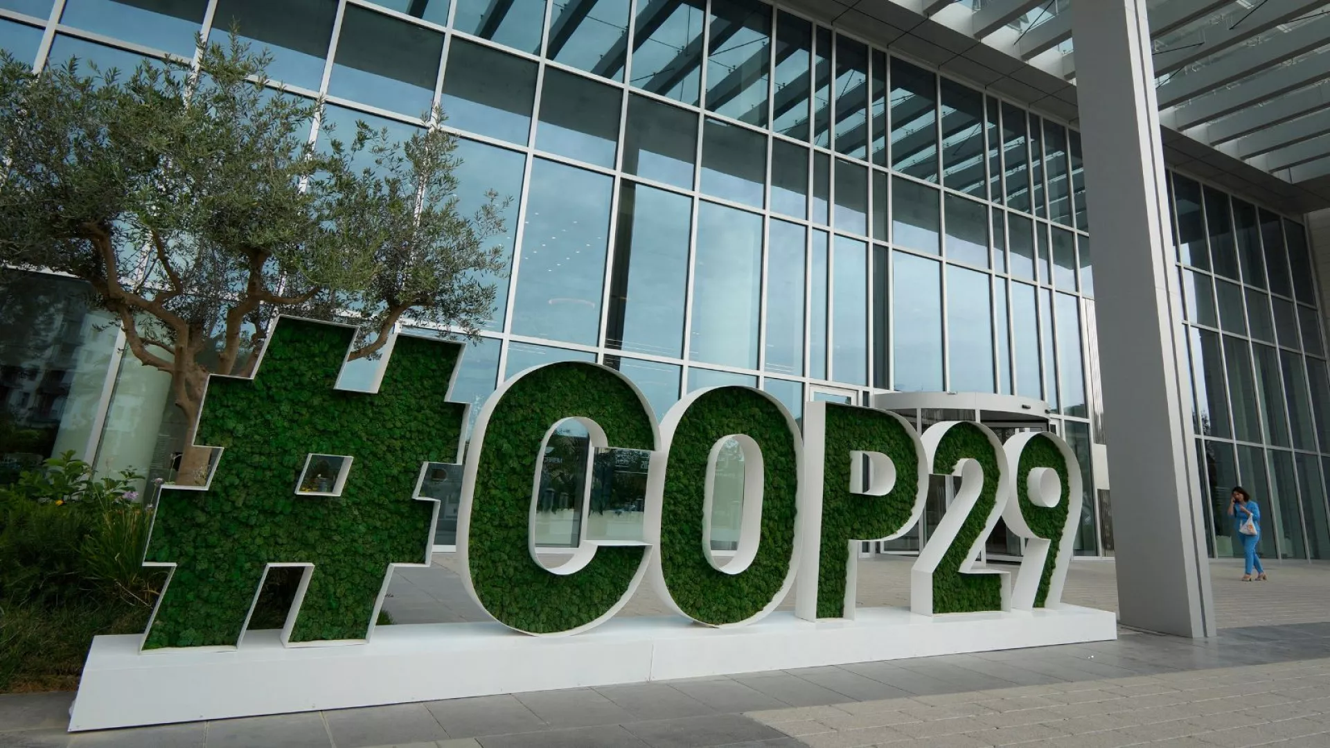 COP29-da qeydiyyatdan keçənlərin sayı məlum oldu