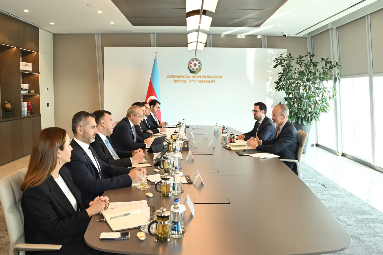 OECD ilə əməkdaşlıq perspektivləri müzakirə edilib - FOTO