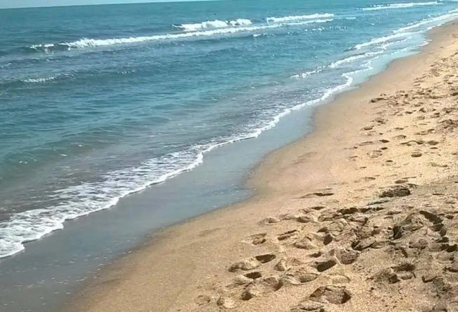 Abşeron çimərliklərində gözlənilən hava şəraiti açıqlanıb