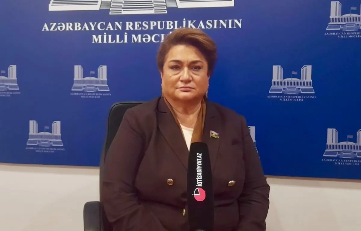 Komitə sədri: “İnkişaf etmiş ölkələrdə boşanma və məişət zorakılığı halları daha çoxdur” - MÜSAHİBƏ