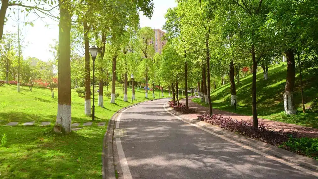 Bu şəhərdə yeni istirahət parkı salınacaq 
