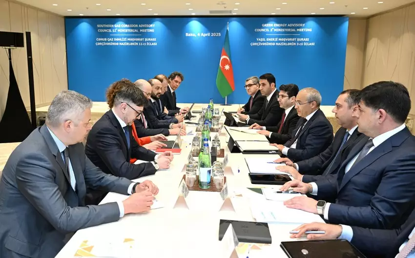 Azərbaycan və Almaniya qarşılıqlı sərmayələrin təşviqini müzakirə edib