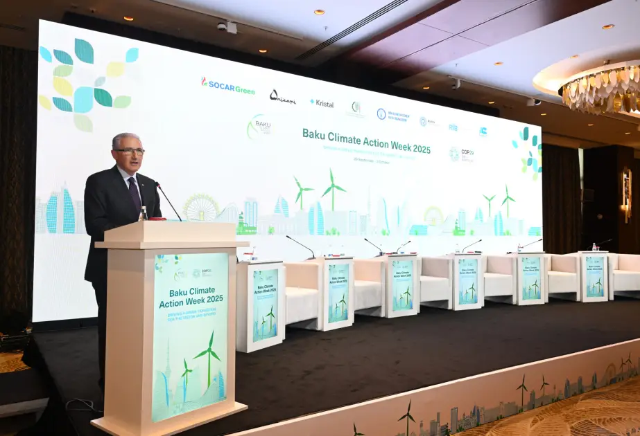 COP29 Prezidenti: Süni intellekt dövründə iqlimlə mübarizədə yeni texnologiyalardan istifadə vacibdir