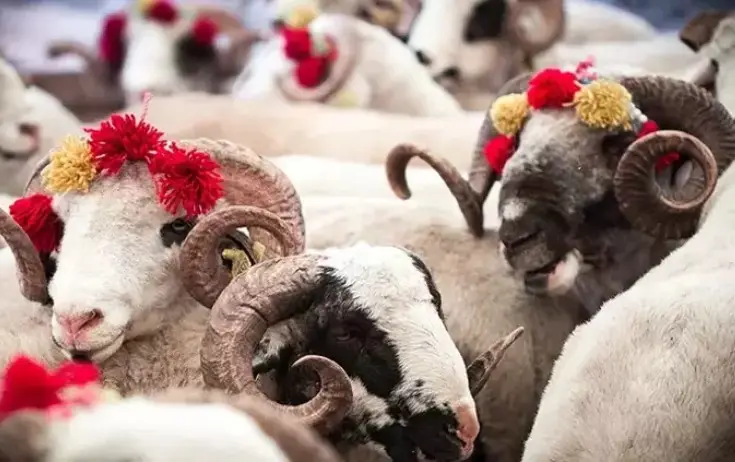 Azərbaycanda Qurban bayramı qeyd olunur