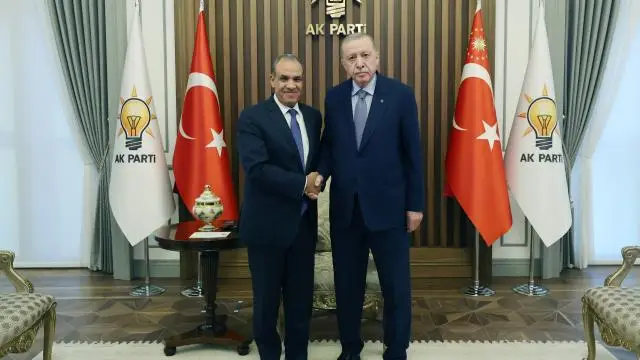 Ərdoğan Misirin xarici işlər naziri ilə əməkdaşlıq məsələlərini müzakirə edib