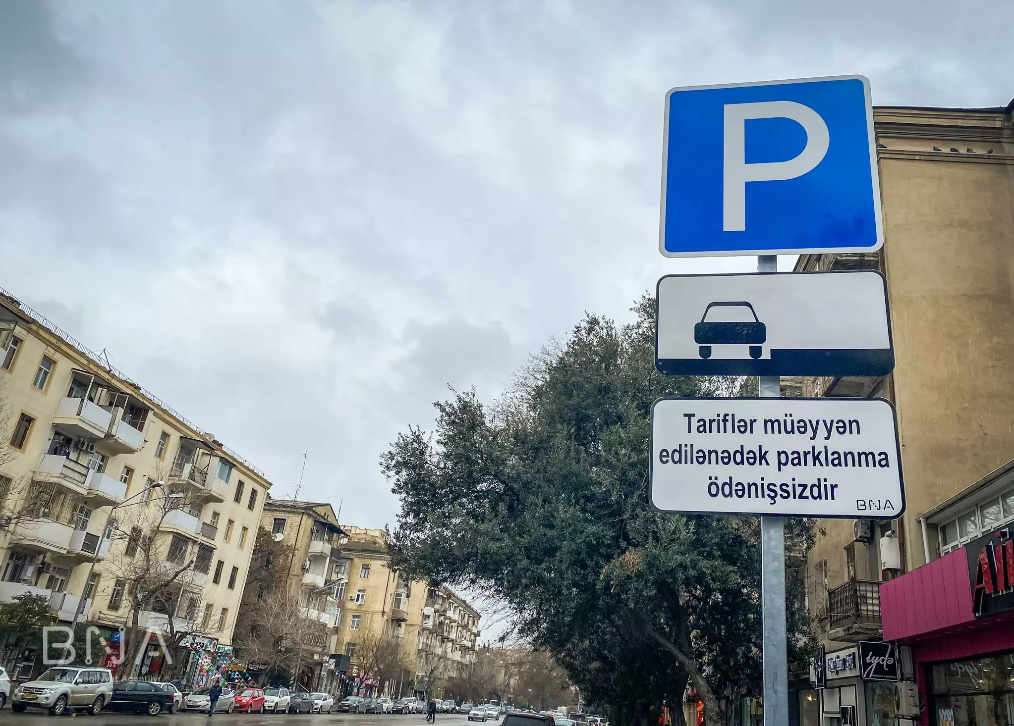 Parklanmanın idarə edilməsinə dair mobil tətbiq təqdim edilib