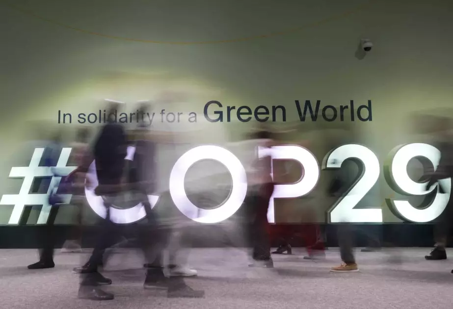 COP29 ərəfəsində davamlı kiberhücumlar müşahidə olunub - RƏSMİ